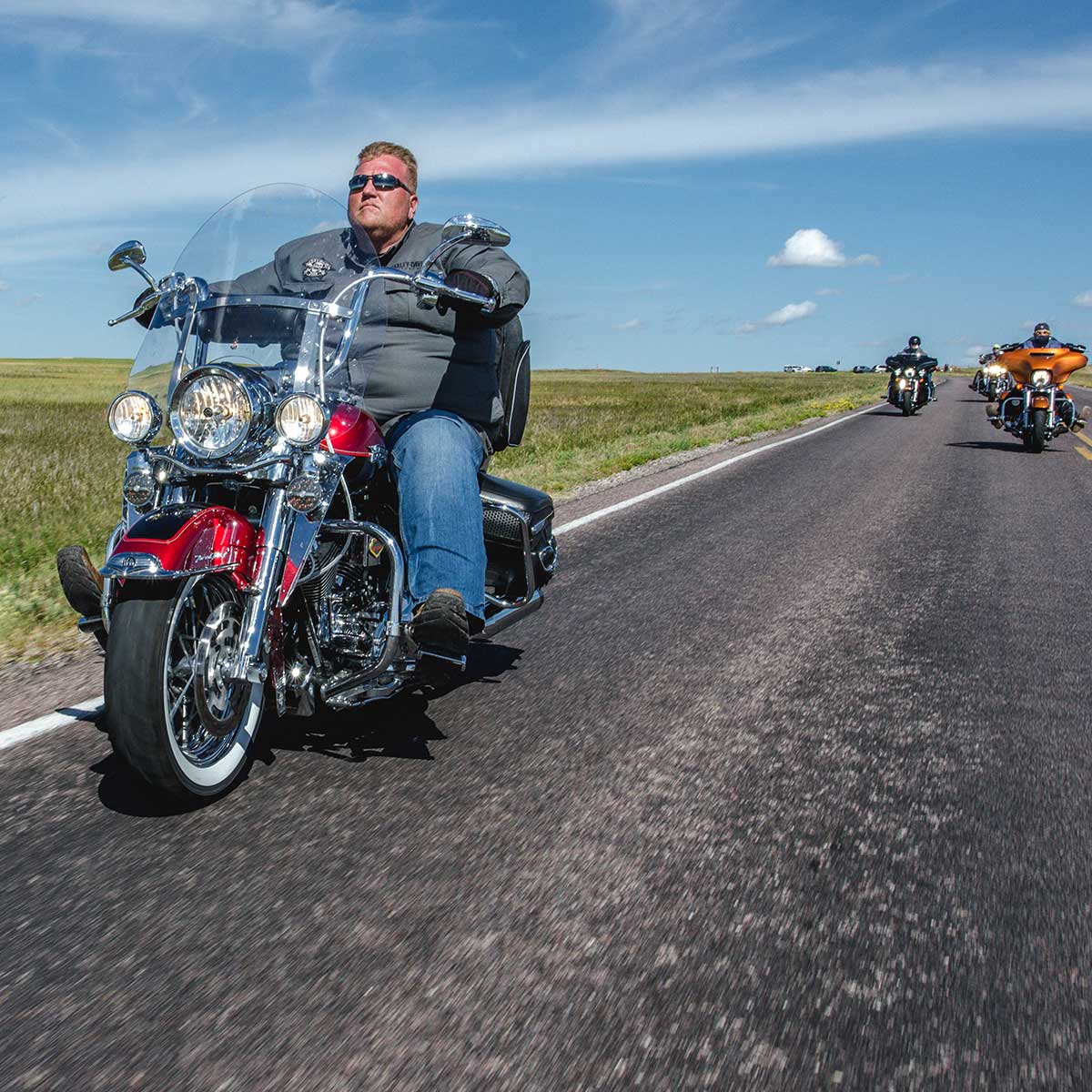 (19.5" Clear Billboard for Road King)