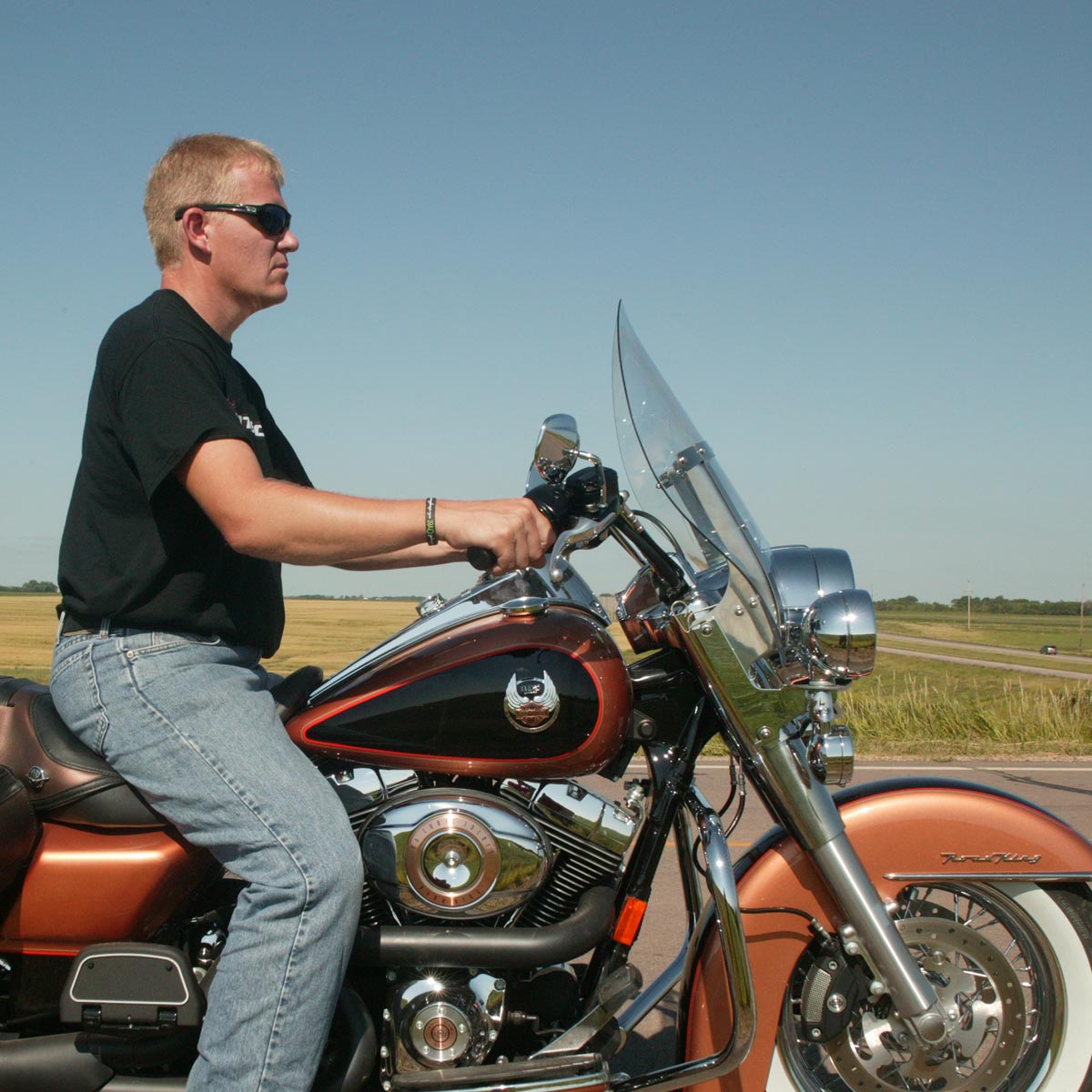 (16.5" Clear Billboard for Road King)