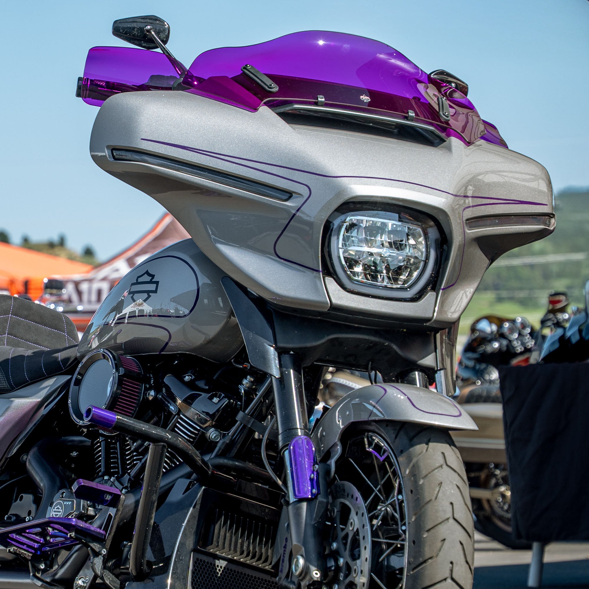 Purple Flare Hand Guards for Harley-Davidson Motorcycle(Purple (Acrylic))