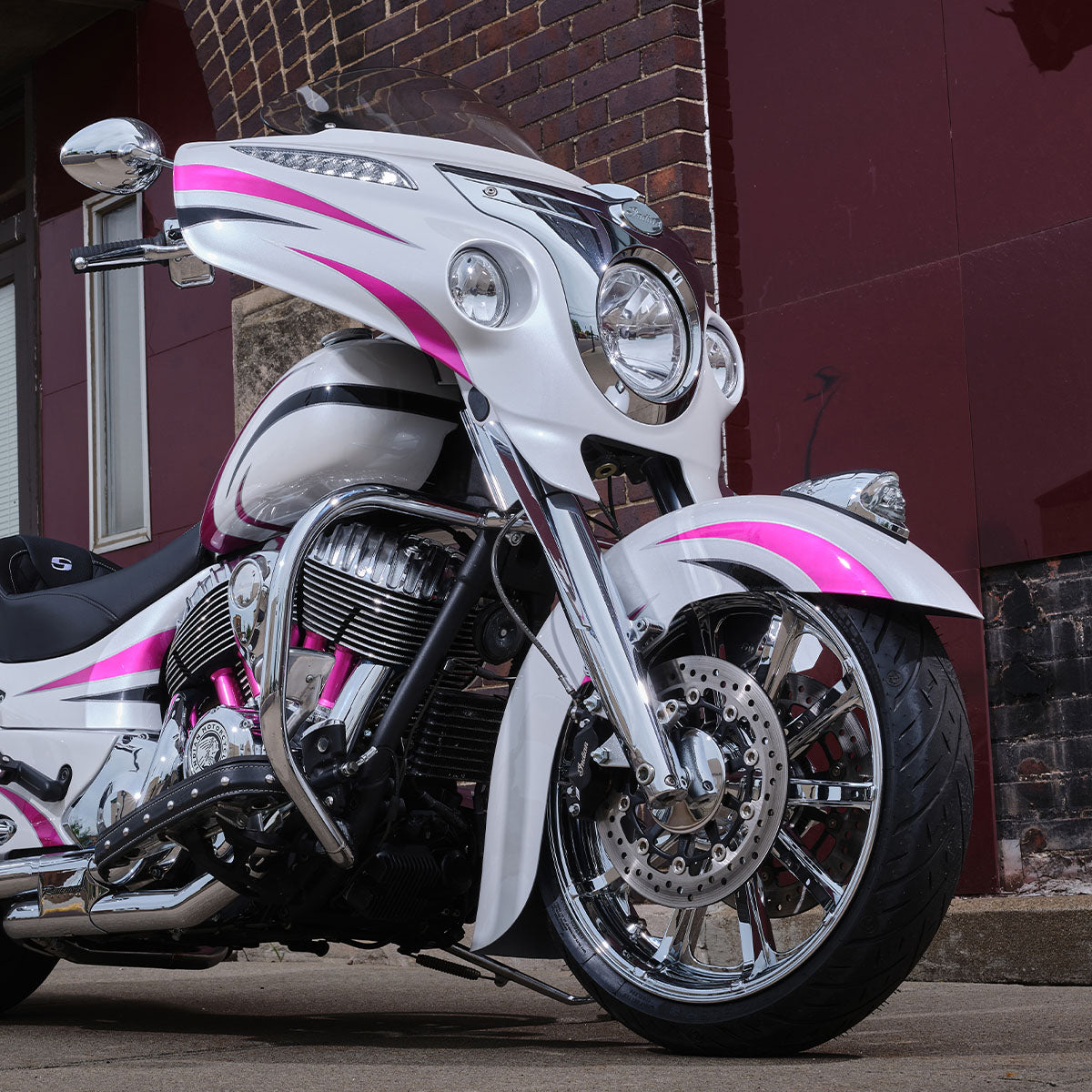 Pink and White Indian Chieftain on dark brick background