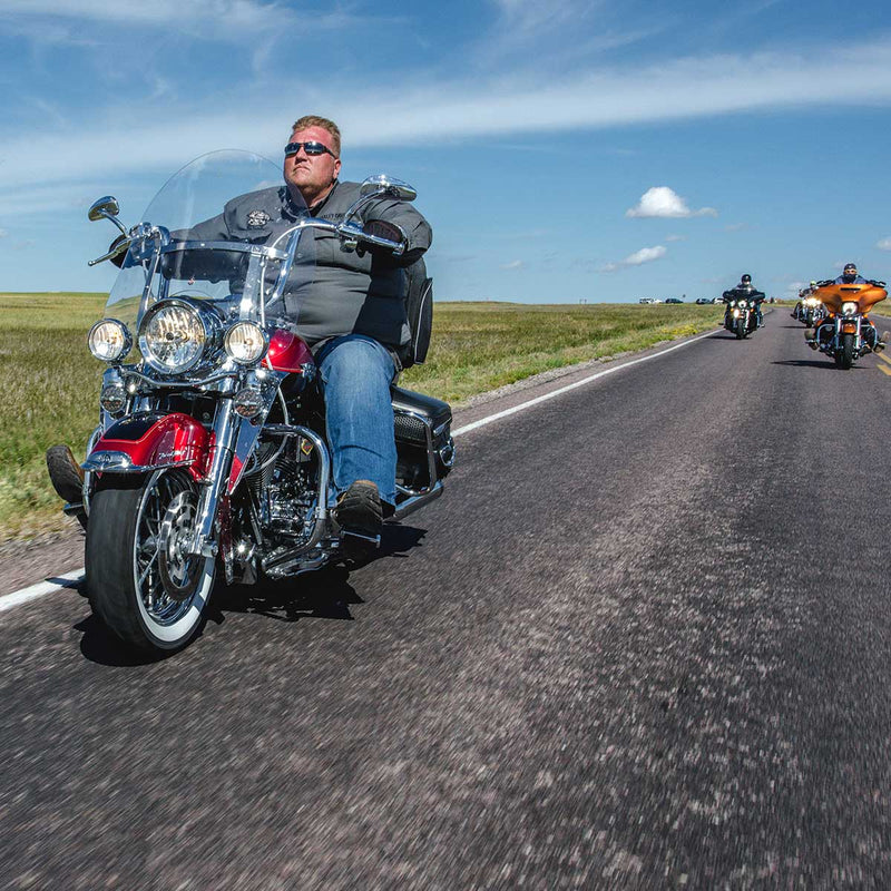 (19.5" Clear Billboard for Road King)